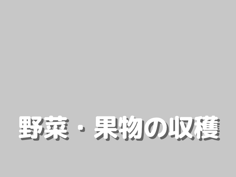野菜・果物の収穫